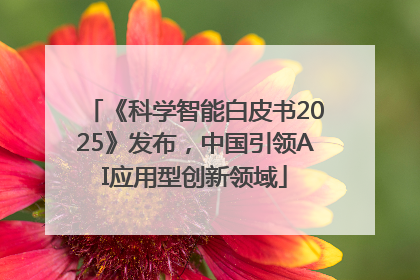 《科学智能白皮书2025》发布，中国引领AI应用型创新领域