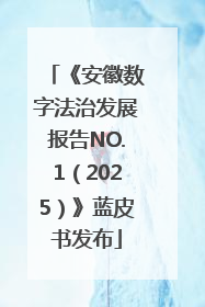 《安徽数字法治发展报告NO.1（2025）》蓝皮书发布