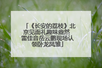 《长安的荔枝》北京见面礼趣味盎然 雷佳音岳云鹏现场认领卧龙凤雏
