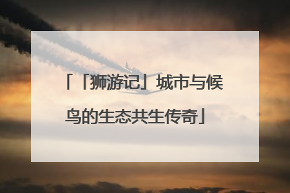 「狮游记」城市与候鸟的生态共生传奇
