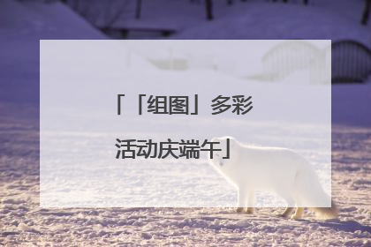 「组图」多彩活动庆端午