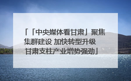 「中央媒体看甘肃」聚焦集群建设 加快转型升级 甘肃支柱产业增势强劲