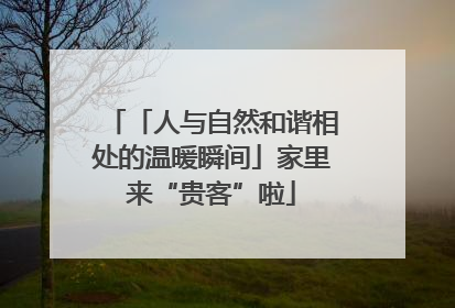 「人与自然和谐相处的温暖瞬间」家里来“贵客”啦