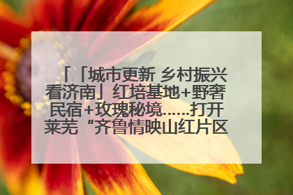 「城市更新 乡村振兴看济南」红培基地+野奢民宿+玫瑰秘境……打开莱芜“齐鲁情映山红片区”的破圈秘籍