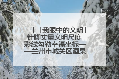 「我眼中的文明」针脚丈量文明尺度 彩线勾勒幸福坐标——兰州市城关区酒泉路街道办事处