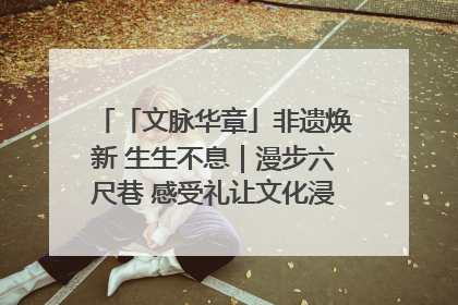「文脉华章」非遗焕新 生生不息｜漫步六尺巷 感受礼让文化浸润的“巷”往生活