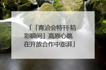 「青洽会特刊·精彩瞬间」高原心跳 在开放合作中澎湃