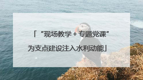 “现场教学＋专题党课”为支点建设注入水利动能