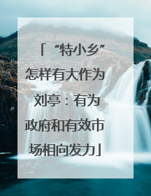 “特小乡”怎样有大作为 刘亭：有为政府和有效市场相向发力