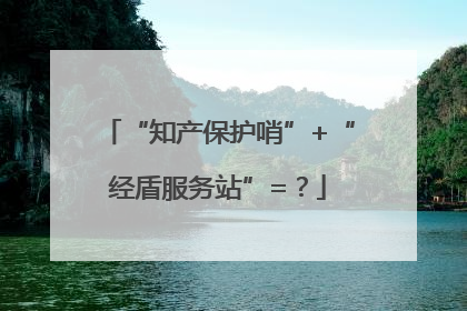 “知产保护哨”+“经盾服务站”=？