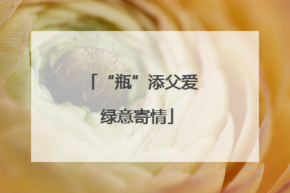 “瓶”添父爱 绿意寄情