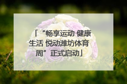 “畅享运动 健康生活 悦动潍坊体育周”正式启动