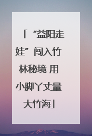 “益阳走娃”闯入竹林秘境 用小脚丫丈量大竹海