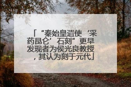 “秦始皇遣使‘采药昆仑’石刻”更早发现者为侯光良教授，其认为刻于元代