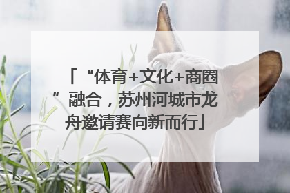 “体育+文化+商圈”融合，苏州河城市龙舟邀请赛向新而行