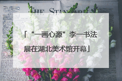 “一画心源”李一书法展在湖北美术馆开幕