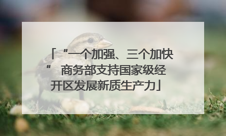 “一个加强、三个加快” 商务部支持国家级经开区发展新质生产力