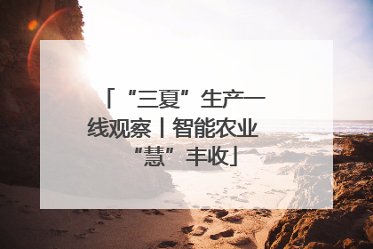 “三夏”生产一线观察丨智能农业“慧”丰收