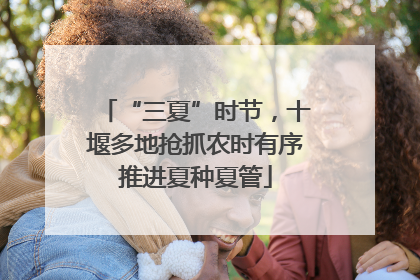“三夏”时节，十堰多地抢抓农时有序推进夏种夏管