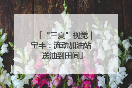 “三夏”视觉｜宝丰：流动加油站 送油到田间