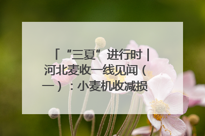“三夏”进行时｜河北麦收一线见闻（一）：小麦机收减损“竞技” 农机高手麦田“过招”