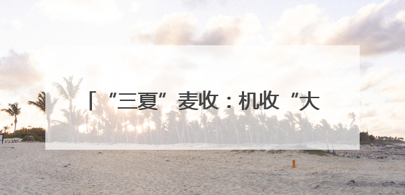 “三夏”麦收：机收“大比武” 减损论“英雄”