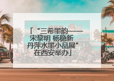 “三希墨韵——宋黎明 杨稳新 丹萍水墨小品展”在西安举办