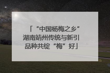 “中国杨梅之乡”湖南靖州传统与新引品种共绽“梅”好