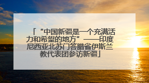 “中国新疆是一个充满活力和希望的地方”——印度尼西亚北苏门答腊省伊斯兰教代表团参访新疆