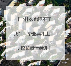 “什么也锤不了我”！毕业典礼上，校长激情演讲