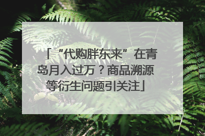 “代购胖东来”在青岛月入过万？商品溯源等衍生问题引关注