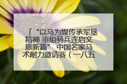 “以马为媒传承军垦精神 重组骑兵连启文旅新篇” 中国名家马术耐力邀请赛（一八五团站）暨重启骑兵连活动正式启动
