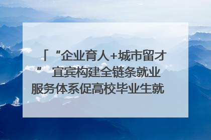 “企业育人+城市留才” 宜宾构建全链条就业服务体系促高校毕业生就业｜您牵挂的四川