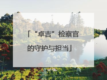 “卓吉”检察官的守护与担当