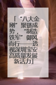 “八大金刚”聚链成势，“制造铁军”御风而行——透视深圳宝安高质量发展新活力