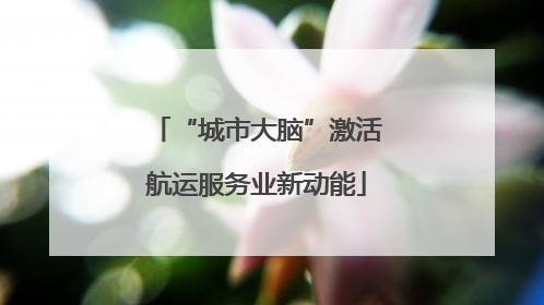 “城市大脑”激活航运服务业新动能