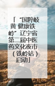 “国粹岐黄 健康铁岭”辽宁省第二届中医药文化夜市（铁岭站）启动