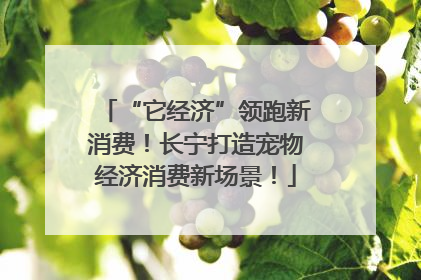 “它经济”领跑新消费！长宁打造宠物经济消费新场景！