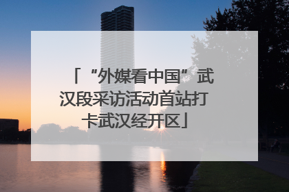 “外媒看中国”武汉段采访活动首站打卡武汉经开区