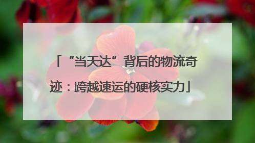“当天达”背后的物流奇迹：跨越速运的硬核实力