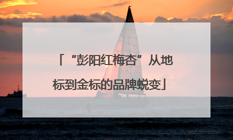 “彭阳红梅杏”从地标到金标的品牌蜕变