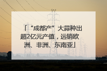 “成都产”大蒜种出超2亿元产值，远销欧洲、非洲、东南亚