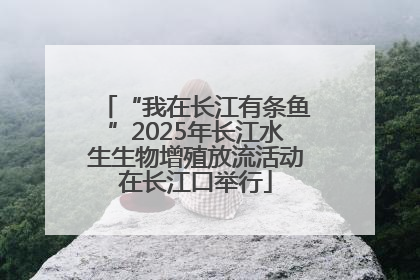 “我在长江有条鱼”2025年长江水生生物增殖放流活动在长江口举行