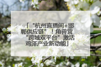 “杭州直播间+邯郸供应链”！角兽营“跨域双平台”激活鸡泽产业新动能