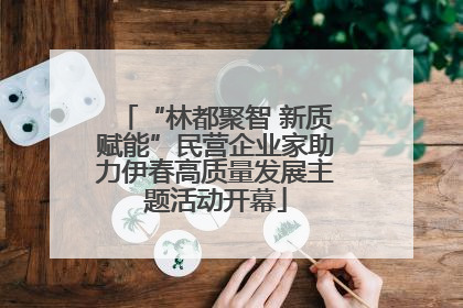 “林都聚智 新质赋能”民营企业家助力伊春高质量发展主题活动开幕