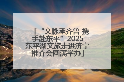 “文脉承齐鲁 携手赴东平”2025东平湖文旅走进济宁推介会圆满举办