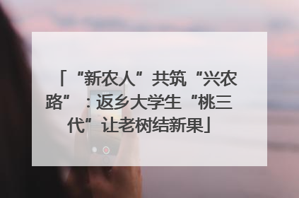 “新农人”共筑“兴农路”：返乡大学生“桃三代”让老树结新果