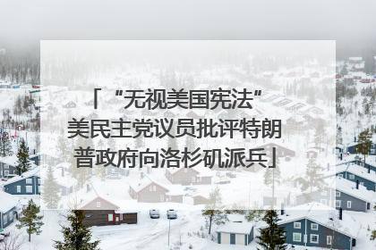 “无视美国宪法” 美民主党议员批评特朗普政府向洛杉矶派兵
