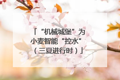 “机械城堡”为小麦智能“控水”（三夏进行时）