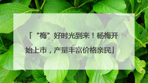 “梅”好时光到来！杨梅开始上市，产量丰富价格亲民